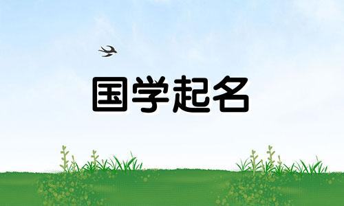 绿色保健食品企业命名为绿色健康企业名称