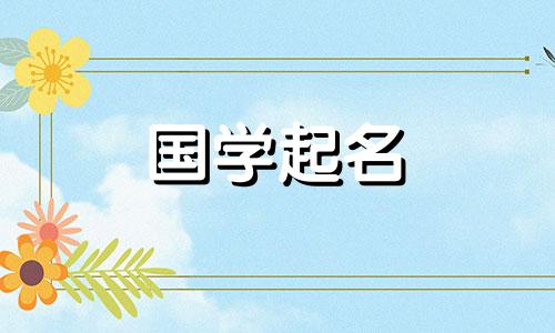 为您的面条食品公司起一个好的食品公司名称