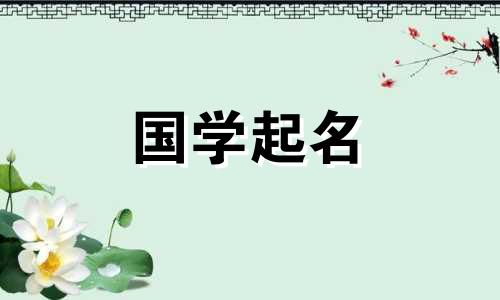 完整的公司名称列表，包含三个字符，供参考。三字公司名简洁大方。