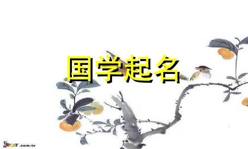 互联网公司如何起名？互联网公司推荐名字