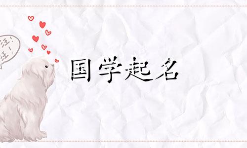 医疗和贸易公司名称的完整集合，其中包含令人愉悦的制药公司名称。