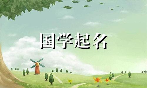 Naming Trading Co., Ltd. 贸易公司名称参考