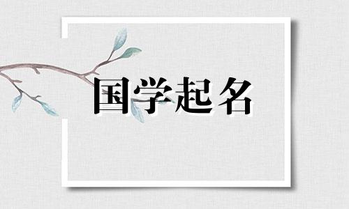 餐厅命名指南：免费且有吸引力的餐厅名称