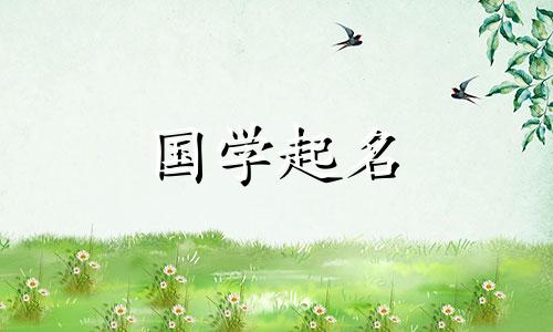 如何起一个公司名称。公司名称参考指南。