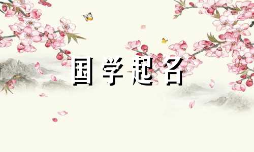 带“大”字的百货店名称大全