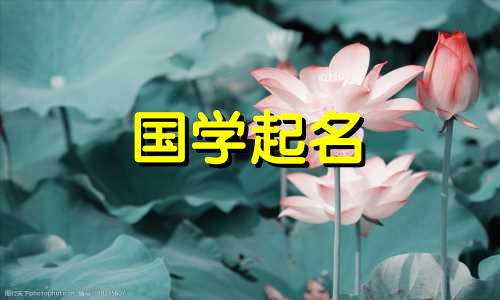 2022年农历8月27日出生的属虎女孩名字大全