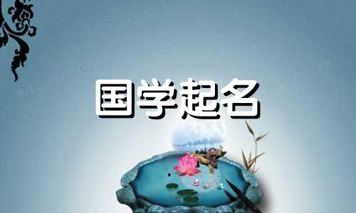 2023年男孩好听且罕见的名字。今年男孩最好的名字是什么？