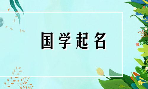 店名色彩缤纷,如何选择合适的店名?