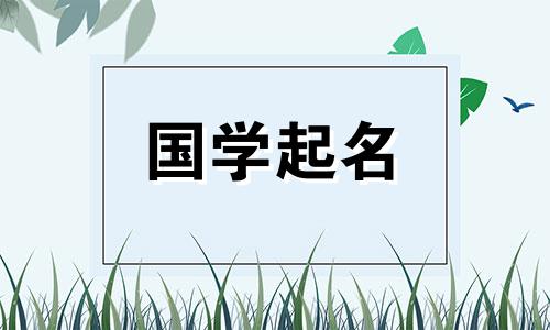 财运好的作文培训机构名称解析