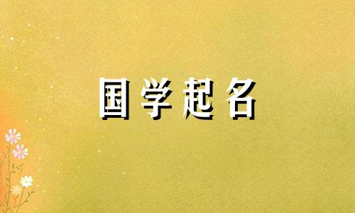 教育科技公司命名指南:好听的公司名字推荐