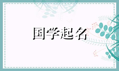 食品公司注册最新公司名称