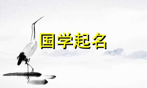 寓意公司名利的科技公司名称完整列表