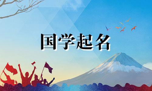 免费食品公司命名指南：福云飞翔的公司名称