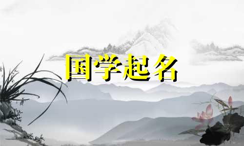 国际贸易公司命名名录：高端西式企业名称100分