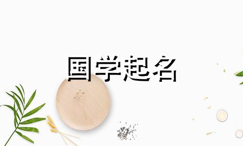 贸易公司如何起名？有助于促进发展的企业名称。
