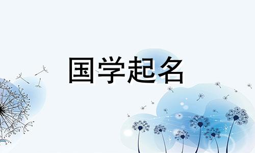 国际贸易公司的名字寓意着会带来财富和好运。