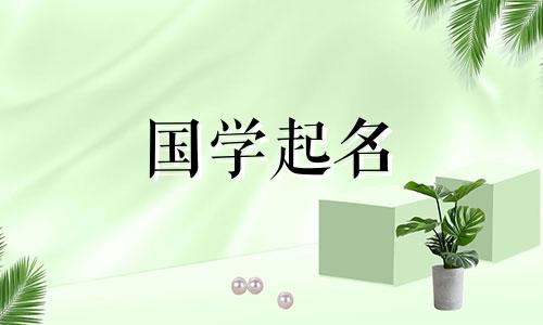 属龙人最常用的名字有哪些？属龙人的禁忌语有哪些？