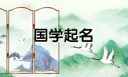 公历2022年8月出生的女孩,会以虎年最喜欢的字来命名。