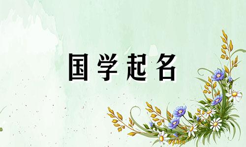 给兔男孩取名时最好用的词。 2023年寓意极佳的单词推荐。