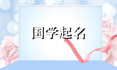 吉兆：木竹浆制造公司名称