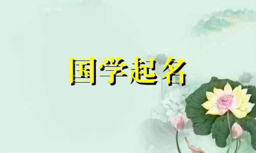 金兔宝宝应以根木二字命名。 2023年刚出生的婴儿如何命名？