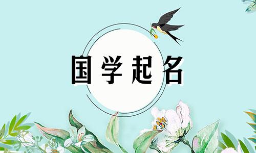 一个名叫吴的女孩，为刚出生的婴儿起一个完美的学名，一个优雅又艺术的名字。