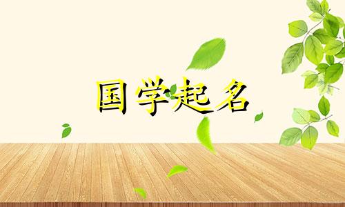 带来财富和好运的无纺布制造公司有一个四字名字