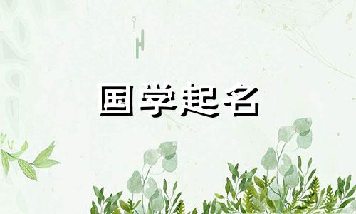 非木竹浆制造公司的三字名称