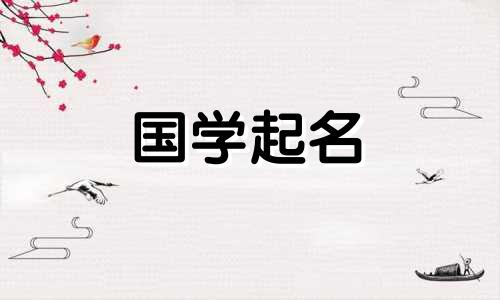老虎幼崽的名字应该带有部首。 2022年出生的孩子如何命名？