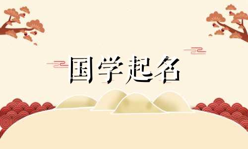 2022年属虎的男孩名字推荐