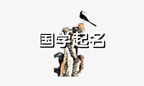 公司名称以木为五元素。公司名称中最旺的五行属木。