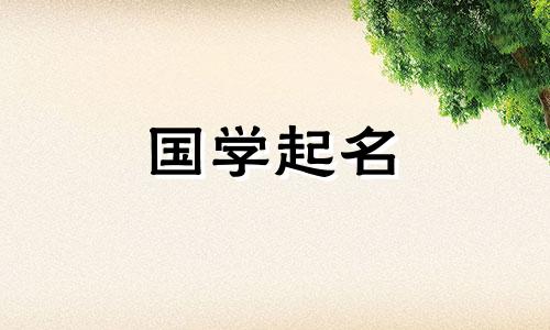 凯作为一个男孩的名字意味着什么？带有凯的男孩名字最好组合是什么？