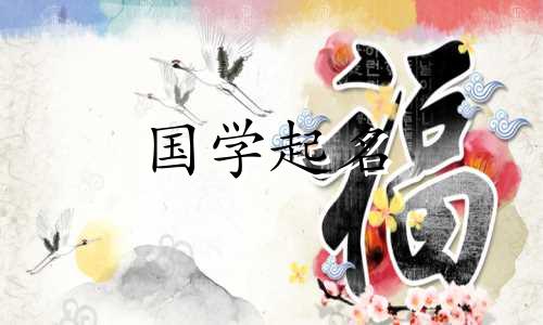 陈子睿名字的含义是什么？陈子瑞名字的五行属性是什么？