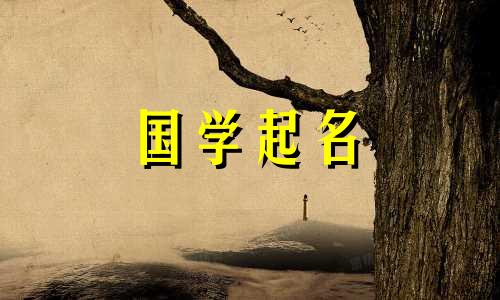 张怡然适合生女孩还是生男孩？张怡然名字的含义是什么？