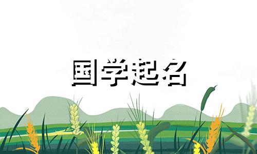 叶莉雅这个名字怎么样？一个美丽又有教养的叶姓女孩叫什么名字？