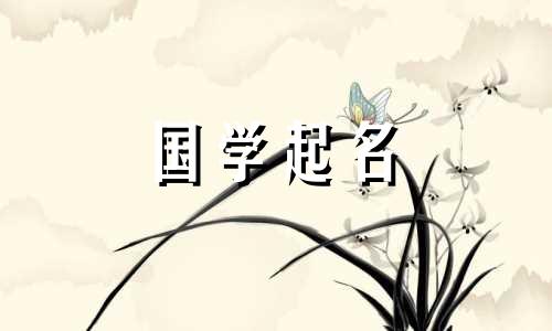 命名中的“精”字有何含义？ “精”与“精”的最佳组合是什么？