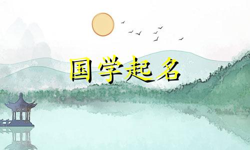 王一诺叫什么名字？王一诺女孩的五要素是什么？