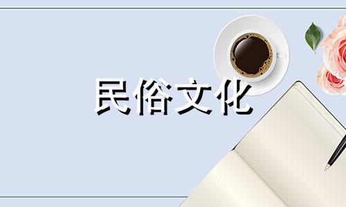 茶花的风水意义及禁忌 插花风水禁忌高清图片