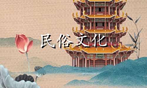 风水命理大赛作品推荐风水算命和风水小说