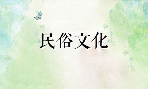 家里种菜的风水禁忌图解、植物装饰品及家居风水禁忌