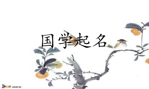 陈诗雨这个名字怎么样？陈姓女孩起什么名字好听又独特？