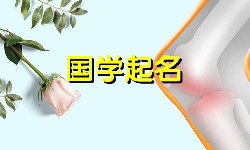 2023年最时尚自由榜五元素的命名遵循什么规则？