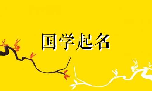 教育机构的名称是什么？如何为教育机构选择三个字母的名称？