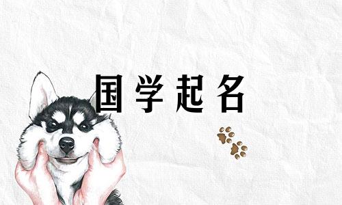 杨姓女孩100个好听的名字有哪些？杨姓男孩好听又好听的名字有哪些？