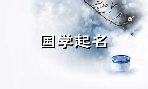 女孩名字的含义是“温柔而仙女”。