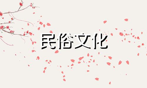 梧桐树种植在哪里合适，家中哪里种植梧桐树最好 屋顶种植梧桐树的风水禁忌有哪些