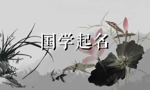 弹子党可爱网名全集。弹子党命名技巧。