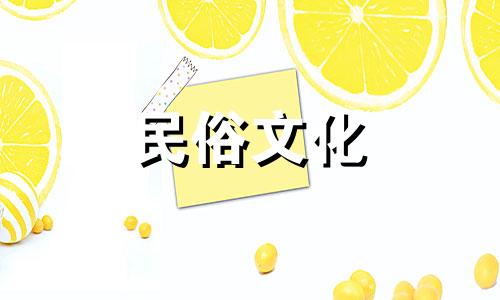 每月哪一天最适合兔子出生 哪个星座的出生星座最好