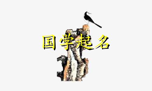 时尚西方女孩名字单字女孩名字