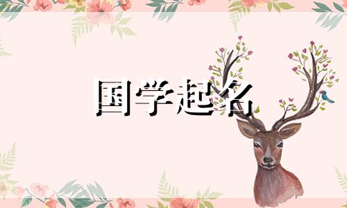 互联网科技公司如何起名?互联网科技公司命名技巧